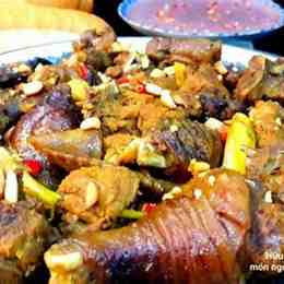 gà đá cho ăn gì