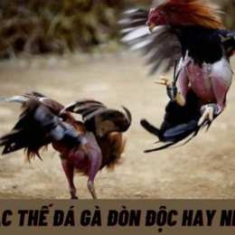 ga da don doc