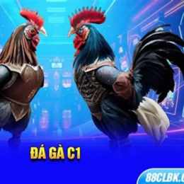gà đá giải c1
