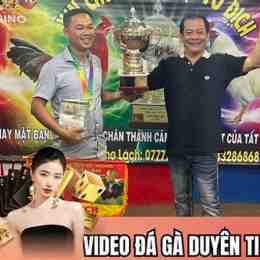 gà đá giải duyên ti