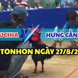 gà đá giải hưng cần thơ