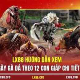 gà đá giải ngày 12 tháng 1