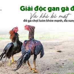 ga da giai ngay 27 5