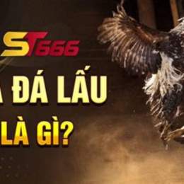 gà đá lấu là gì