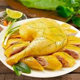 gà đã luộc làm món gì ngon