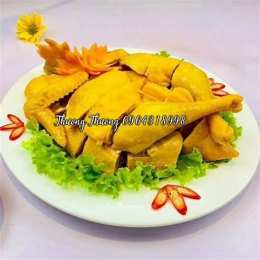 ga da tran ninh 2