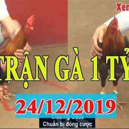 gà đá xổ 1 tỷ