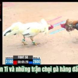 gà duyên ti đã giải c3