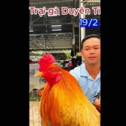 ga duyen ty da giai 27 5