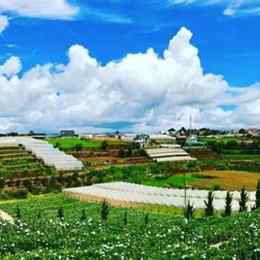 ga trại mát tp. đà lạt lâm đồng