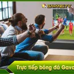 gà vàng tv trực tiếp bóng đá nữ
