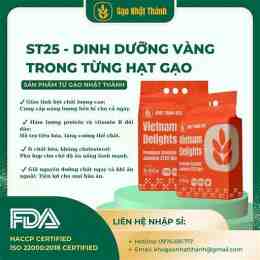 gạo st25 hạt dài