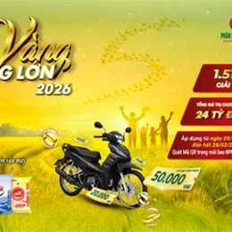 giá vàng 2026 việt nam xu hướng gần đây