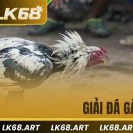 giải đá gà c3