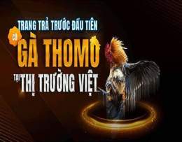 giao diện app 789 asia đá gà