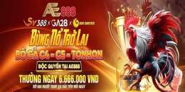 giao diện app ae888 trực tiếp đá gà