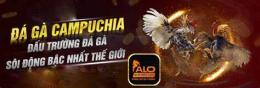 giao diện app alo789 da ga thomo truc tiep
