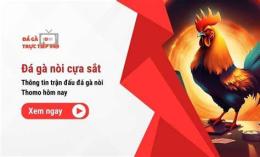 giao diện app bán gà nòi đá cựa