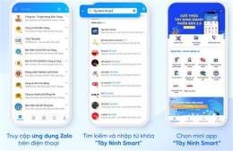 giao diện app báo tây ninh bắt đá gà