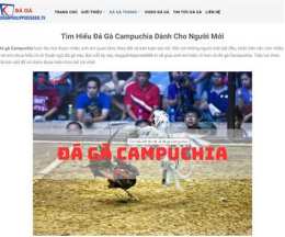 giao diện app bình luận đá gà campuchia
