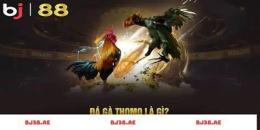 giao diện app bj27 da ga