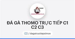 giao diện app c2 đá gà trực tiếp c2