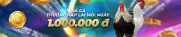 giao diện app các loại vảy gà đá