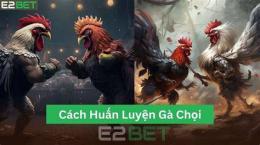 giao diện app cách huấn luyện gà chọi đá hay