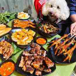 giao diện app cách lột da chân gà sống
