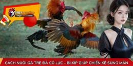 giao diện app cach nuoi ga tre da sung