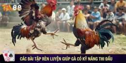 giao diện app cách tập luyện cho gà đá cựa sắt
