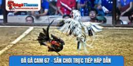 giao diện app cam 67 đá gà