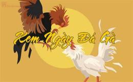 giao diện app cap da ga theo ngay am