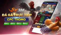 giao diện app casino campuchia đá gà