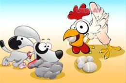 giao diện app chó ăn đá, gà ăn sỏi