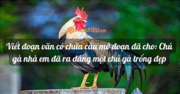 giao diện app chú gà nhà em đã ra dáng một chú gà trống đẹp