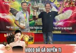 giao diện app clip đá gà đen duyên ti