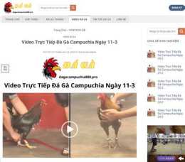 giao diện app clip da ga thomo