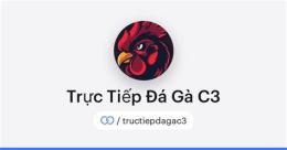 giao diện app coi đá gà trực tiếp bên c3