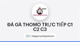 giao diện app coi đá gà trực tiếp thomo c1 c2 c3 c4