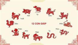 giao diện app coi ngày gà đá ra trận 12 con giáp theo lịch âm