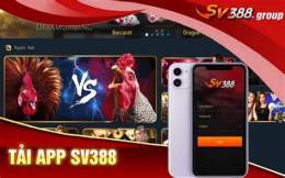 giao diện app con gà đá gà trực tiếp