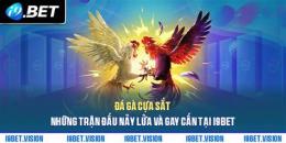 giao diện app đá gà 1/6/2022 trận 11