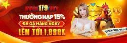 giao diện app đá gà 179 top
