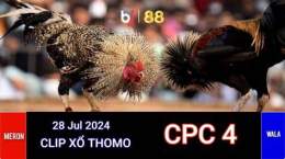 giao diện app đá gà 23 7 cpc4