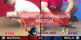giao diện app đá gà 360 hôm nay
