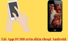 giao diện app đã gà 388
