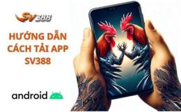giao diện app đá gà 39.net