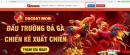 giao diện app đá gà 67 campuchia hôm nay