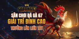 giao diện app đá gà 67 net trực tiếp